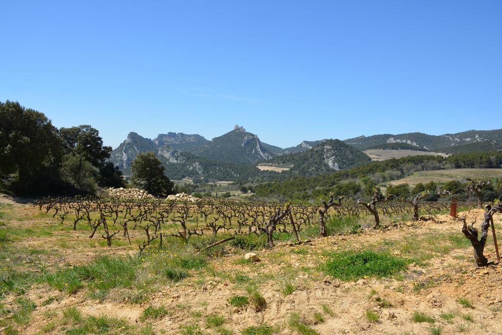 Mas De Carabelle Bed and Breakfast La Roque-Alric Exteriör bild